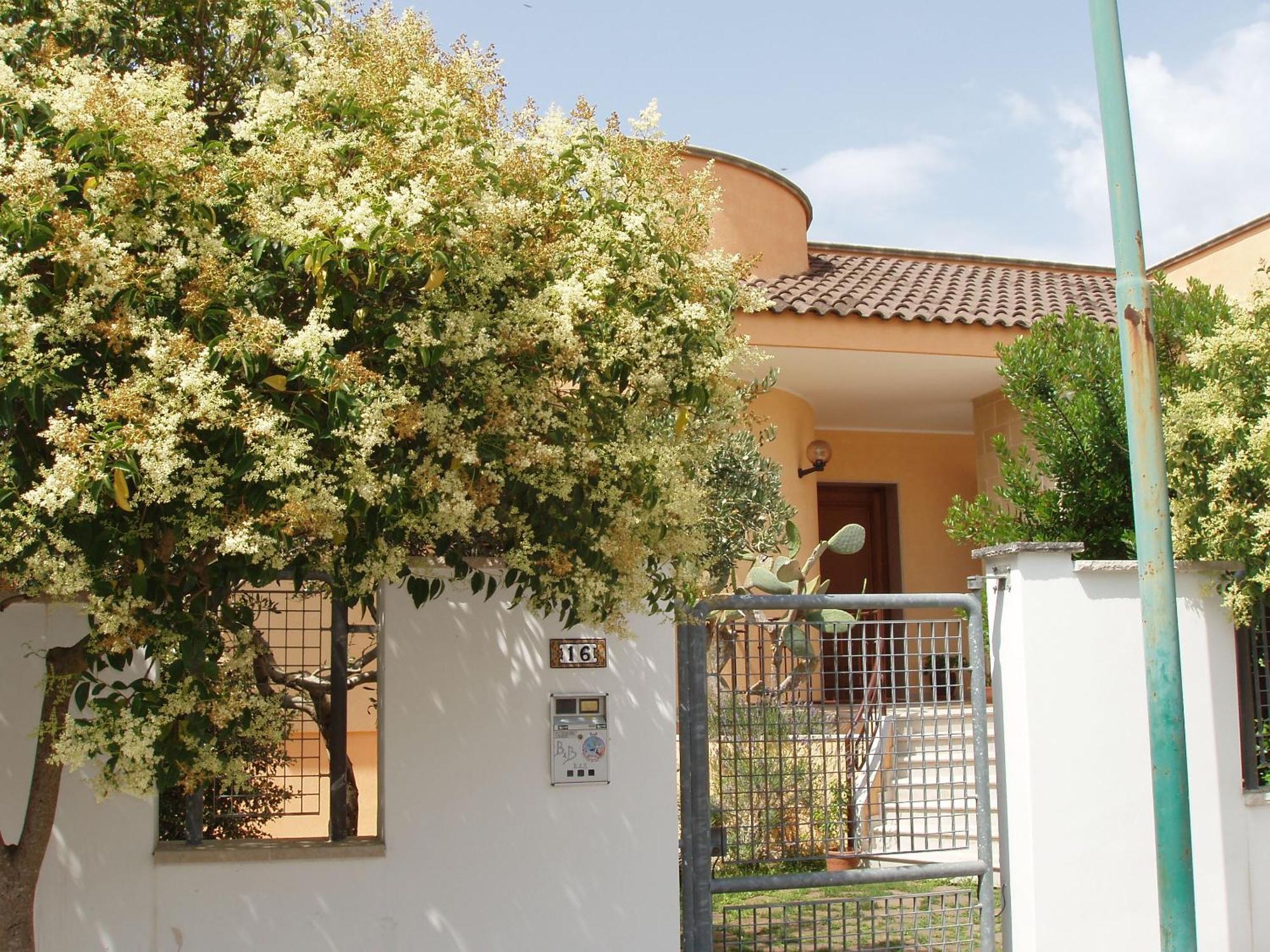 Bed and Breakfast Residenza Del Sole Surbo Экстерьер фото