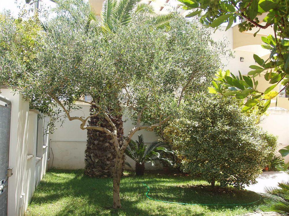 Bed and Breakfast Residenza Del Sole Surbo Экстерьер фото